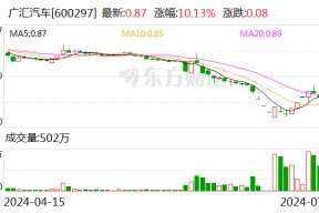 “保壳战”进入倒计时！汽车经销商巨头广汇汽车或迎来新东家