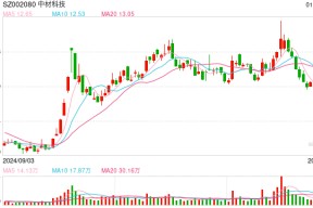 中材科技：预计2024年净利润同比下降57.26%~71.48%