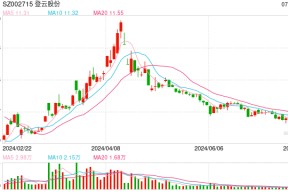 三个月股价遭“腰斩” 重组梦碎 登云股份需采取有效措施稳经营和信心