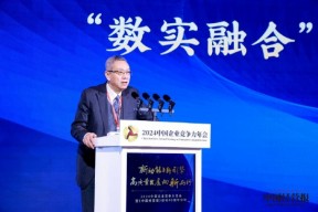 贾康：国企、民企必须摒弃“谁进谁退”的思维，要长期共同发展
