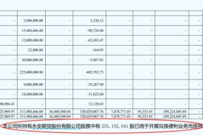 买入A股！多家券商已实际开展互换便利