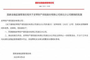 史带财险获批撤销湖北分公司、重庆分公司