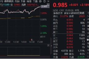 “中国版平准基金”、险资放开入市…稳市场大招频出，红利低波机会如何？
