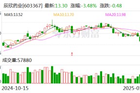 辰欣药业：董事辞职暨选举董事