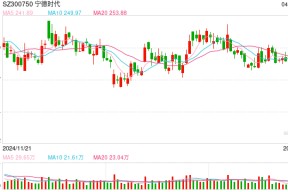 宁德时代登顶公募之一股 ETF资金成主要推手