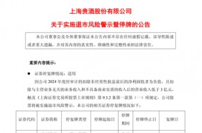 岩石股份将被实施退市风险警示，股票停牌一天