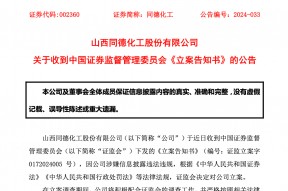  *** 出手，立案！