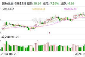 聚辰股份：股东询价 *** 价格为55.49元/股