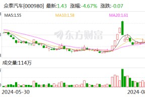 众泰汽车：王磊辞去公司副总裁职务