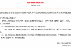 袁颖获批出任中国人寿保险财务负责人