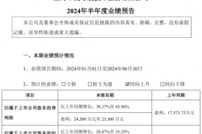 华测导航2024年上半年预计净利2.43亿-2.53亿同比增长38%-44% 海外区域营收快速增长