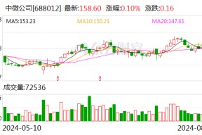 中微公司启用上海临港产业化基地