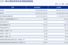 中国银河半年报未披露关键风控指标 在审IPO项目皆属于“钉子户”