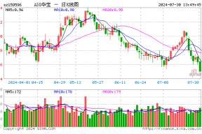资金抄底热情高涨！A50ETF华宝（159596）单日获资金净流入7228万元