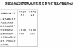 野蛮生长终致风险“井喷”  *** 金租因多项严重违规行为被“清退”
