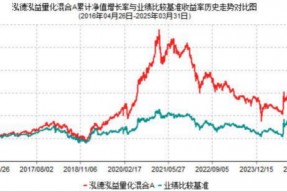 2025年基金一季报划重点！泓德泓益量化：不断更新迭代模型，力争更好持有体验