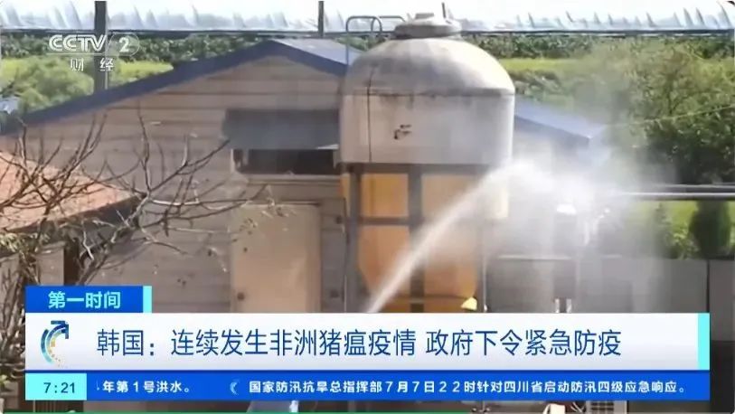 韩国“非瘟”疫情持续三个月， *** 下令紧急防疫  第2张