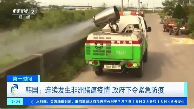 韩国“非瘟”疫情持续三个月， *** 下令紧急防疫  第3张