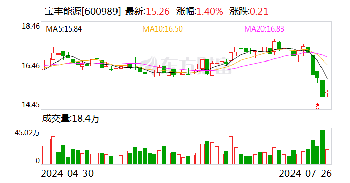 宝丰能源：上半年净利润同比增长46.41%  第1张