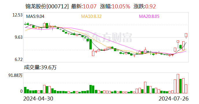 锦龙股份拟 *** 东莞证券3亿股股份 挂牌底价22.72亿元  第1张