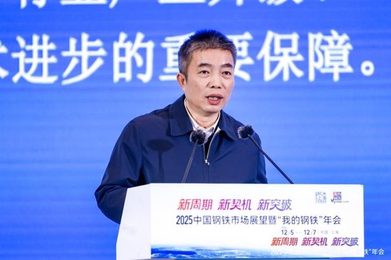 2025中国钢铁市场展望暨“我的钢铁”年会干货汇总  第5张