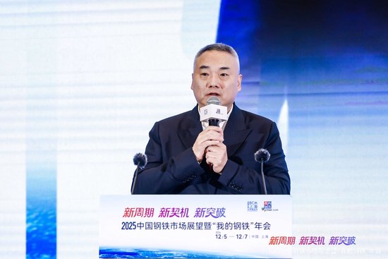 2025中国钢铁市场展望暨“我的钢铁”年会干货汇总  第9张