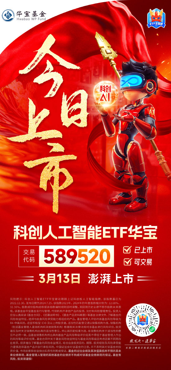 国产替代之光，科创自立自强！科创人工智能ETF华宝（589520）3月13日澎湃上市！  第1张