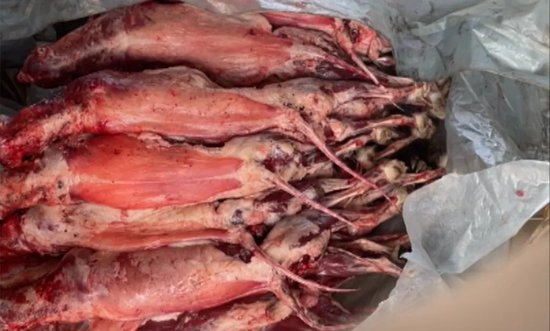 “暗访被禁的狐貉肉冒充牛肉”，河北、山东回应了  第1张