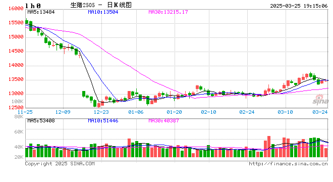 每日猪讯3.25  第2张