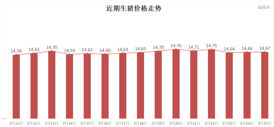 每日猪讯3.25  第3张