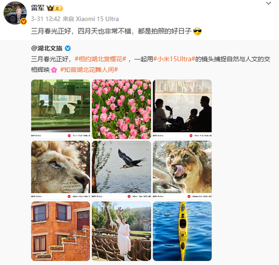 小米雷军的个人IP是一把“双刃剑”，其他企业家不学也罢！  第2张
