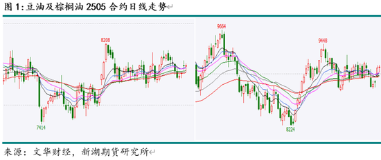 油脂4月月报：多因素博弈 趋势行情暂难有  第3张