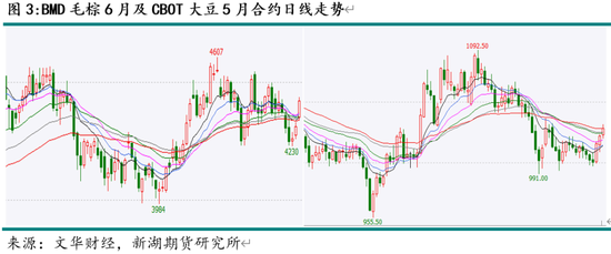 油脂4月月报：多因素博弈 趋势行情暂难有  第5张