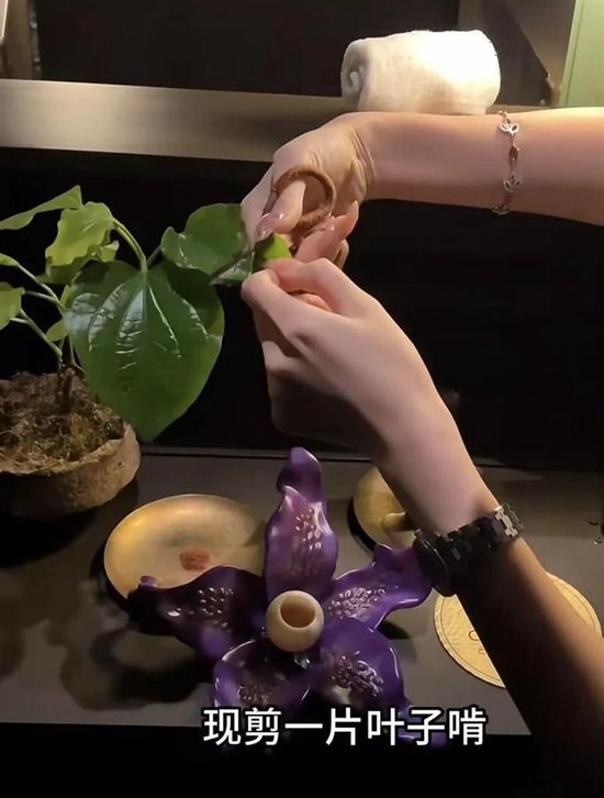 餐厅让食客品尝大象粪便，这符合食品卫生法的要求吗？  第2张